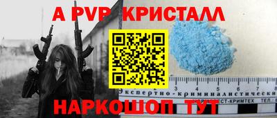 стафф Шелехов